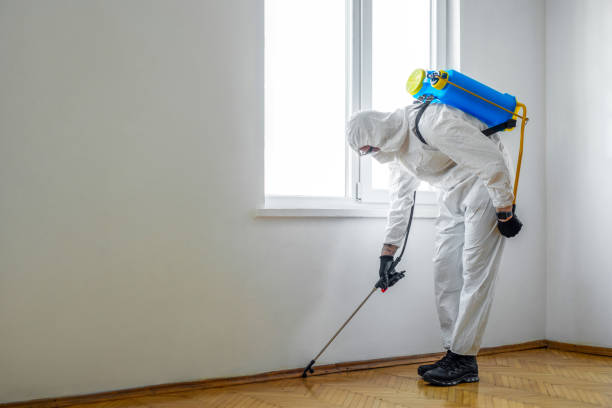 Best Pest Removal Services  in Ashland, VA