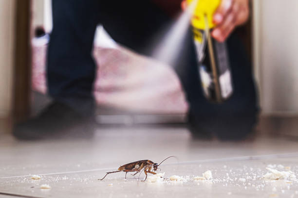 Best Pest Prevention Services  in Ashland, VA